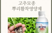 제목을-입력해주세요_-003 (48).jpg